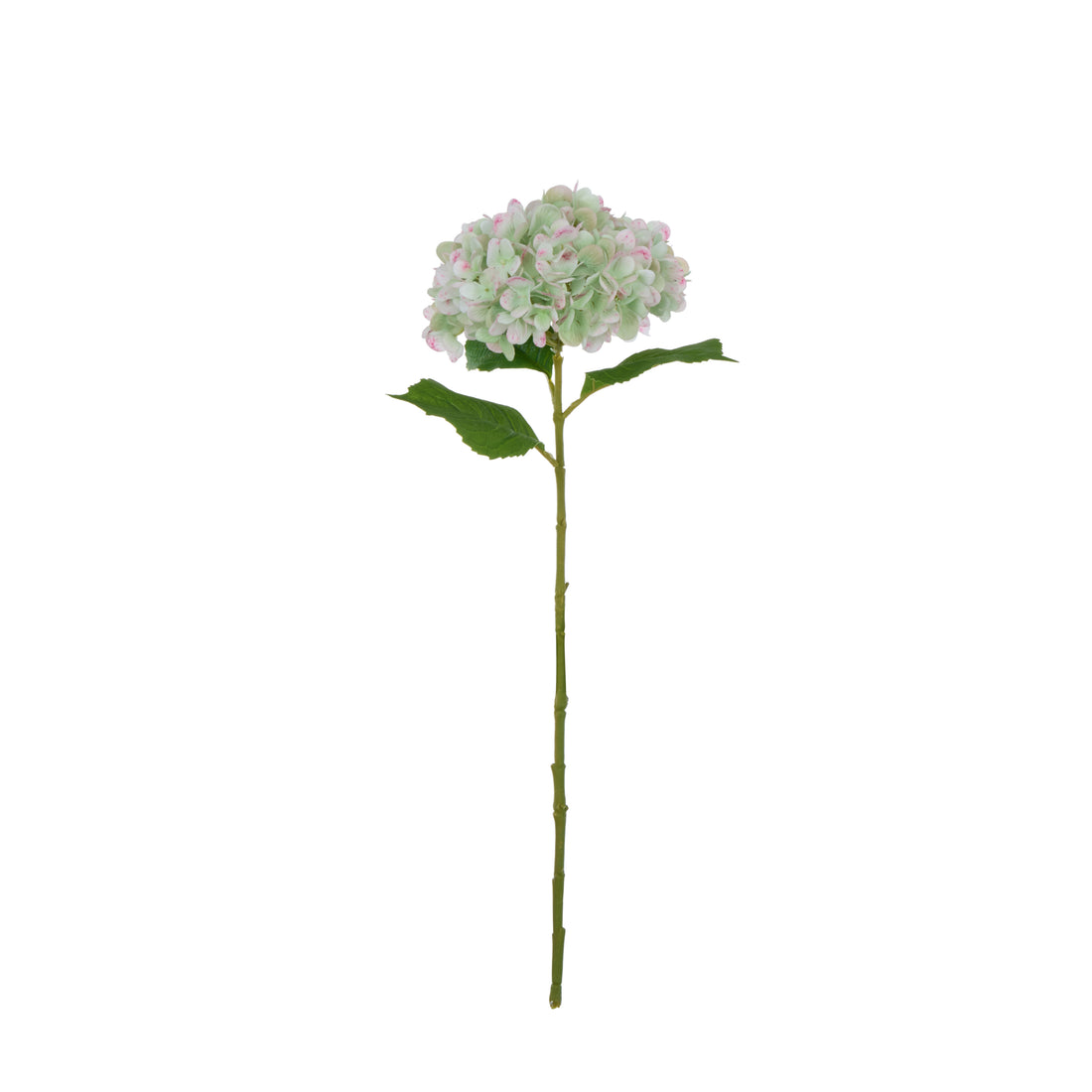 Faux Hydrangea Stem | Green - 66cm