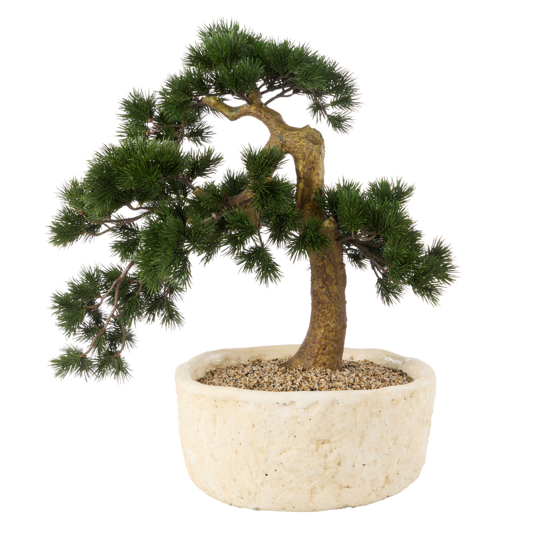 Faux Pine Bonsai - Textured Cement Pot | Cream - 57cm