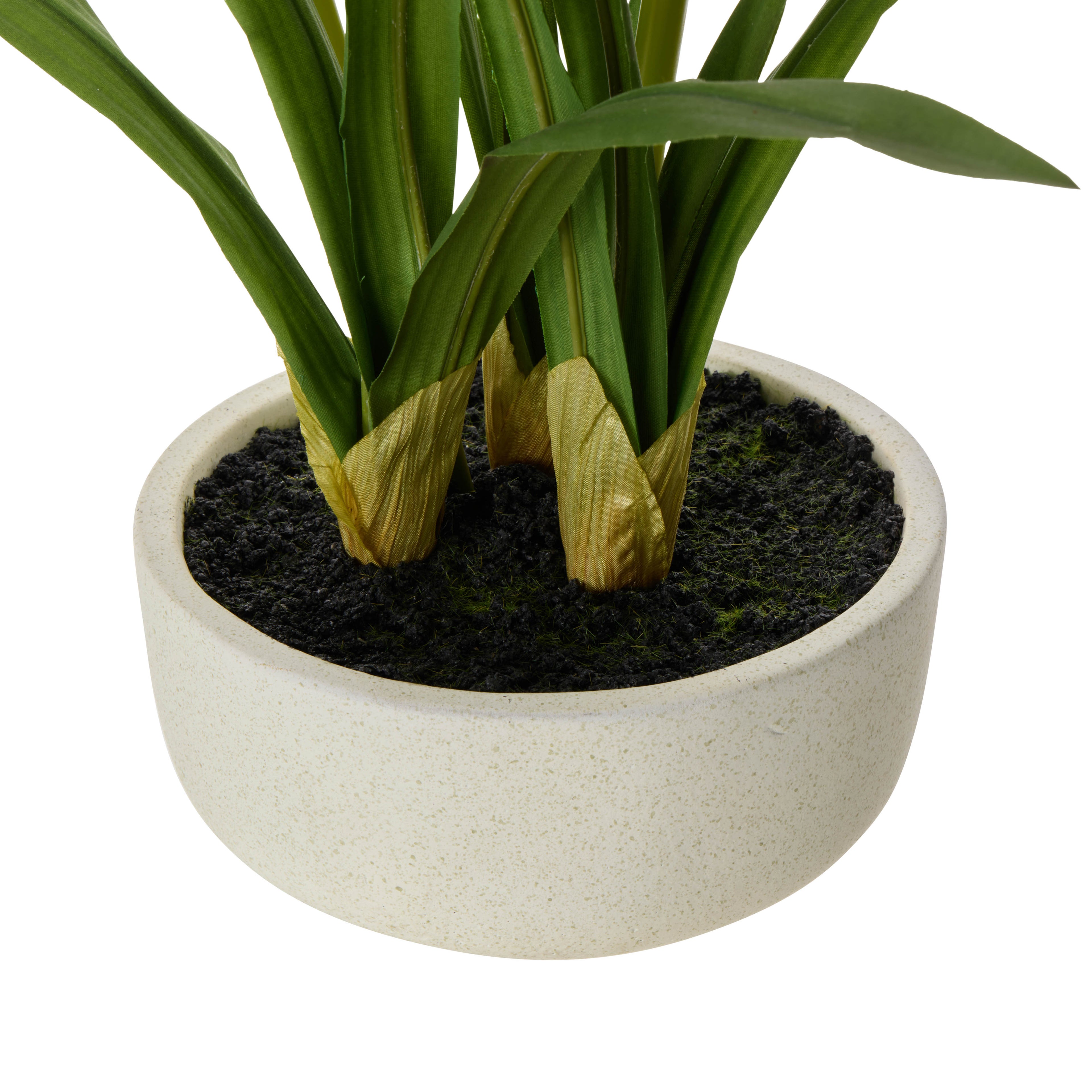 Faux Cymbidium Orchid Pot | White -  52cm