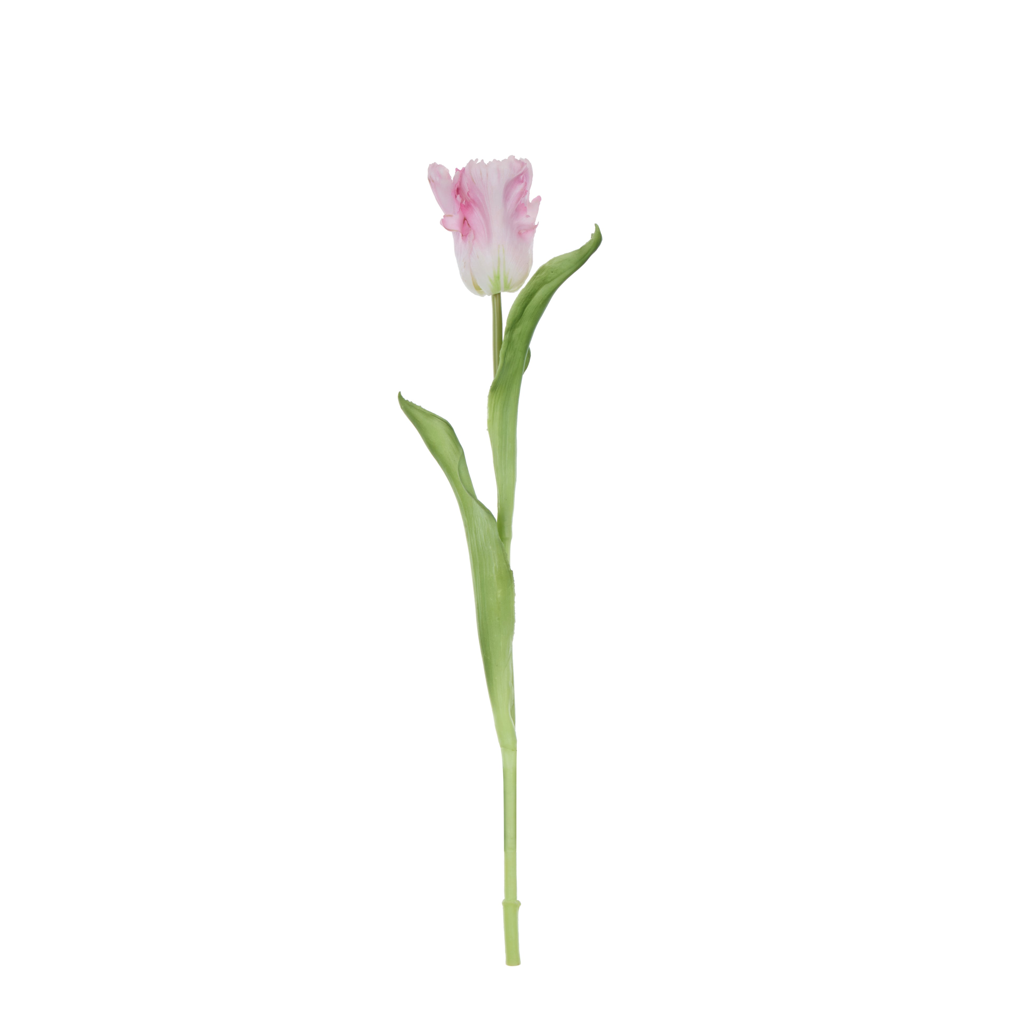 Faux Parrot Tulip Stem | Pink - 48cm