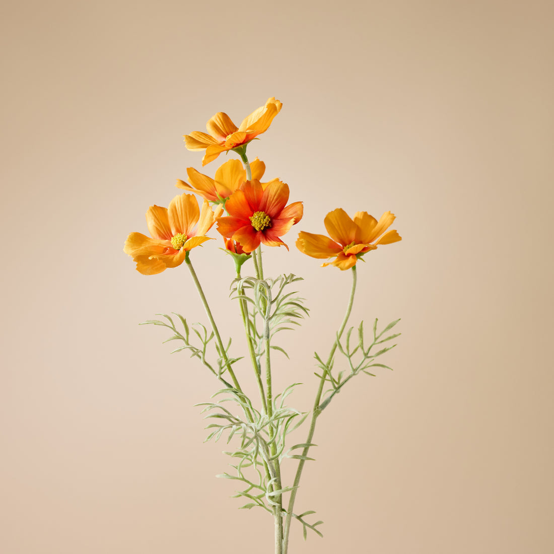 Faux Cosmos Flower Spray | Orange - 62cm