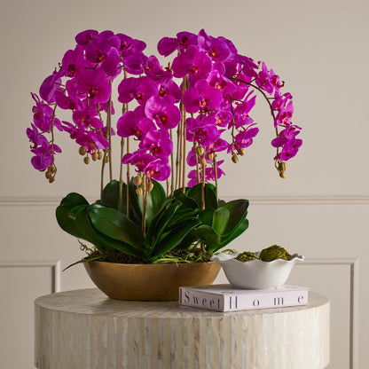 Rogue Phalaenopsis Orchid - Metal Bowl Pink