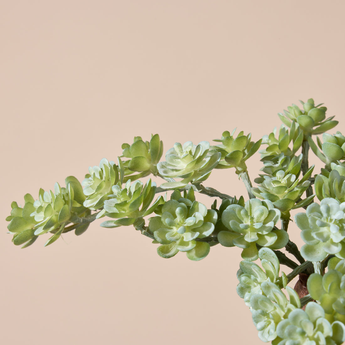 Faux Mini Houseleek Sparay | Green - 15cm