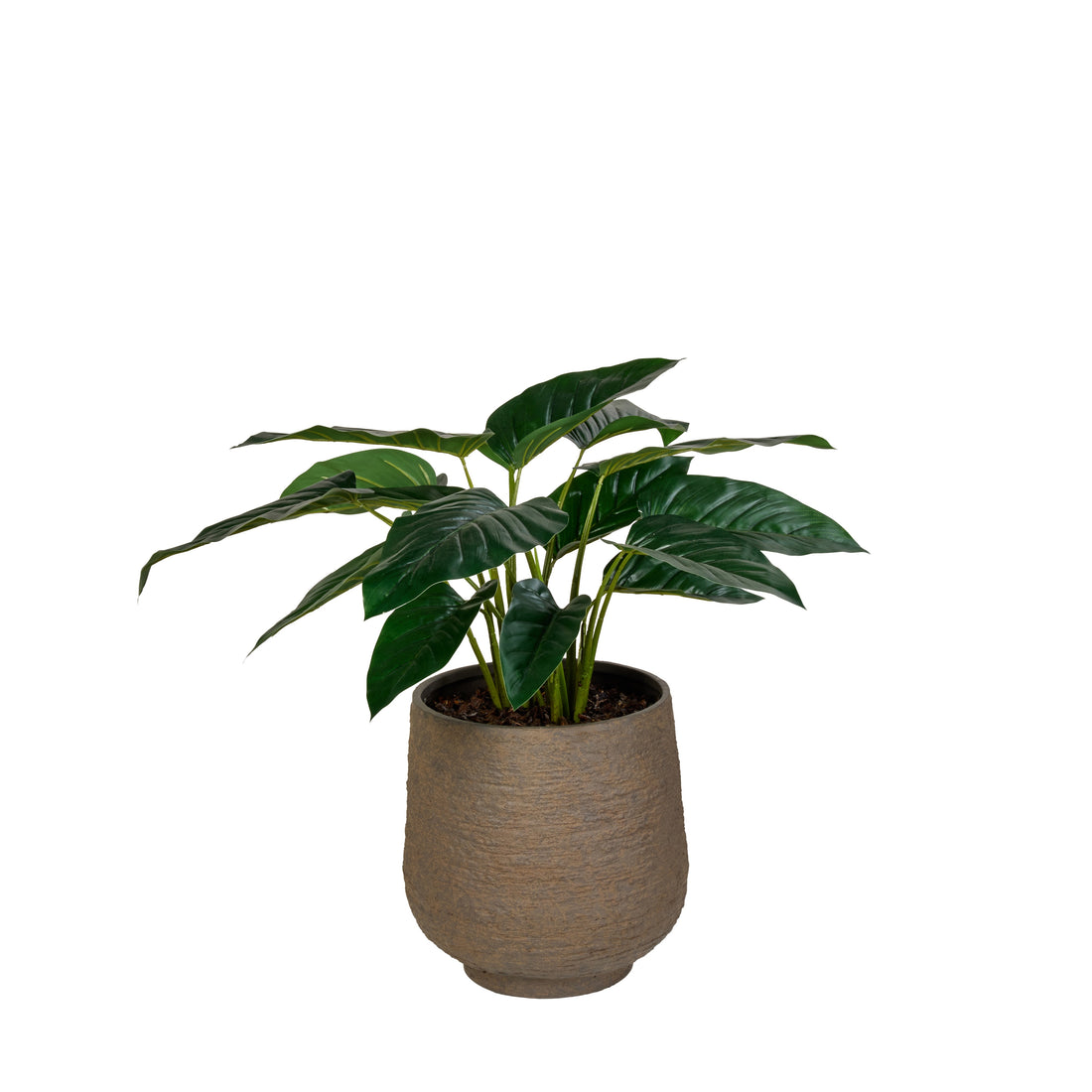 Rogue Philodendron- Trillium Planter Green &amp; Grey