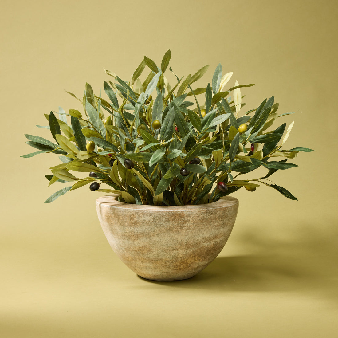 Faux Olive Spray Arrangement - Earthenware Bowl | 68cm