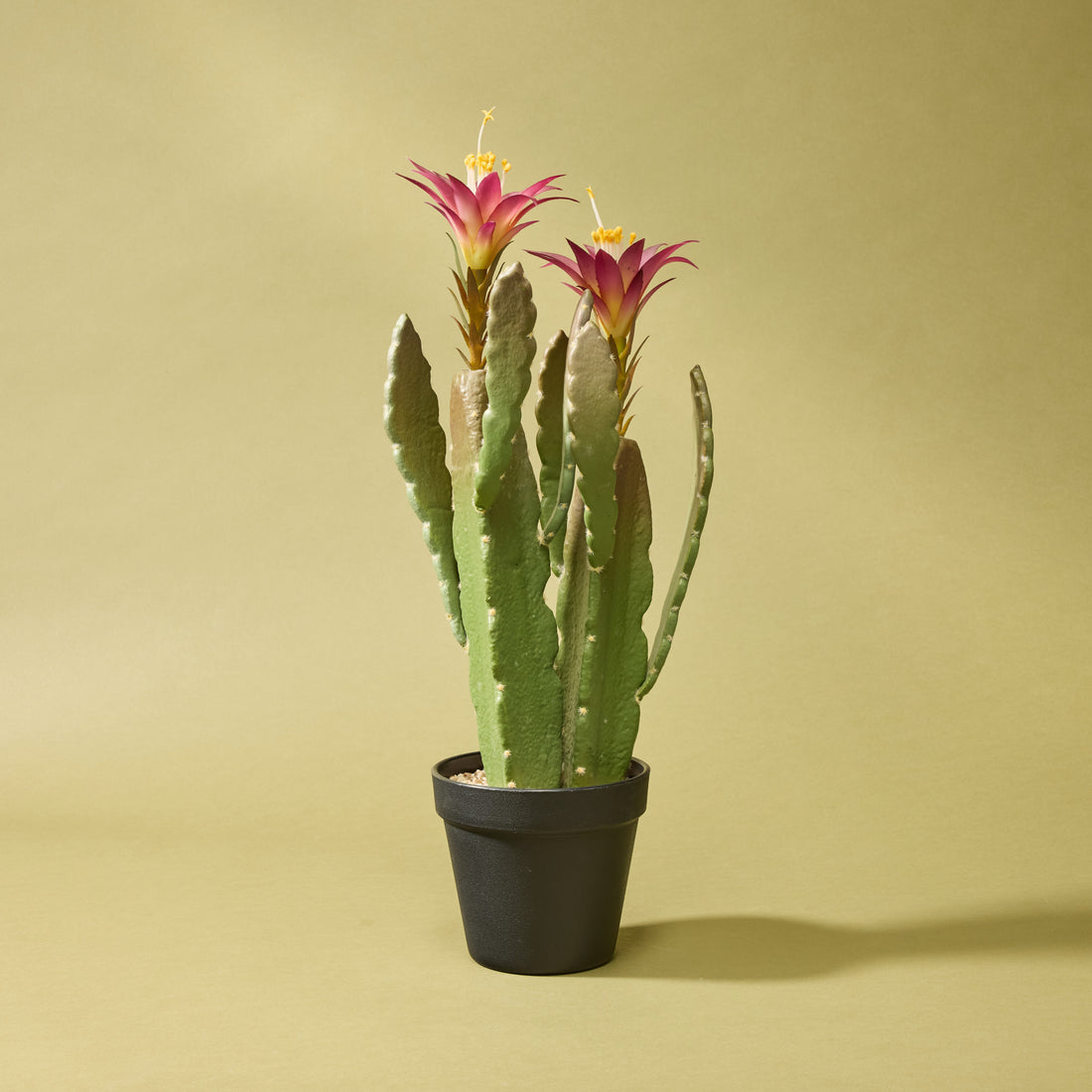 Faux Flowering Cactus - Garden Pot | 47cm