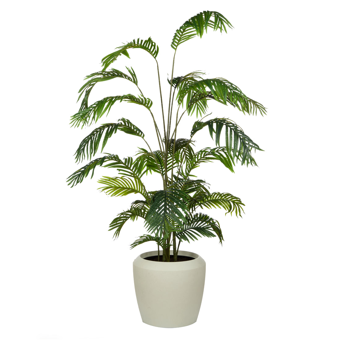 Rogue Areca Palm Tree - Vienna Planter Green