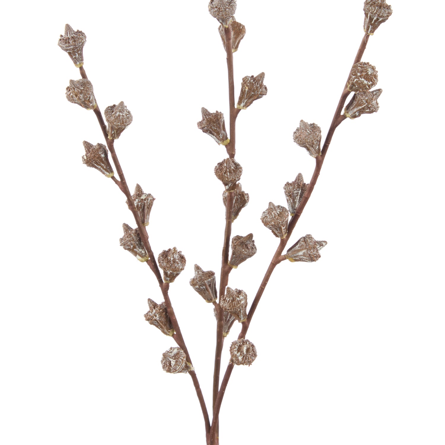 Faux Gumnut Spray | Brown - 62cm