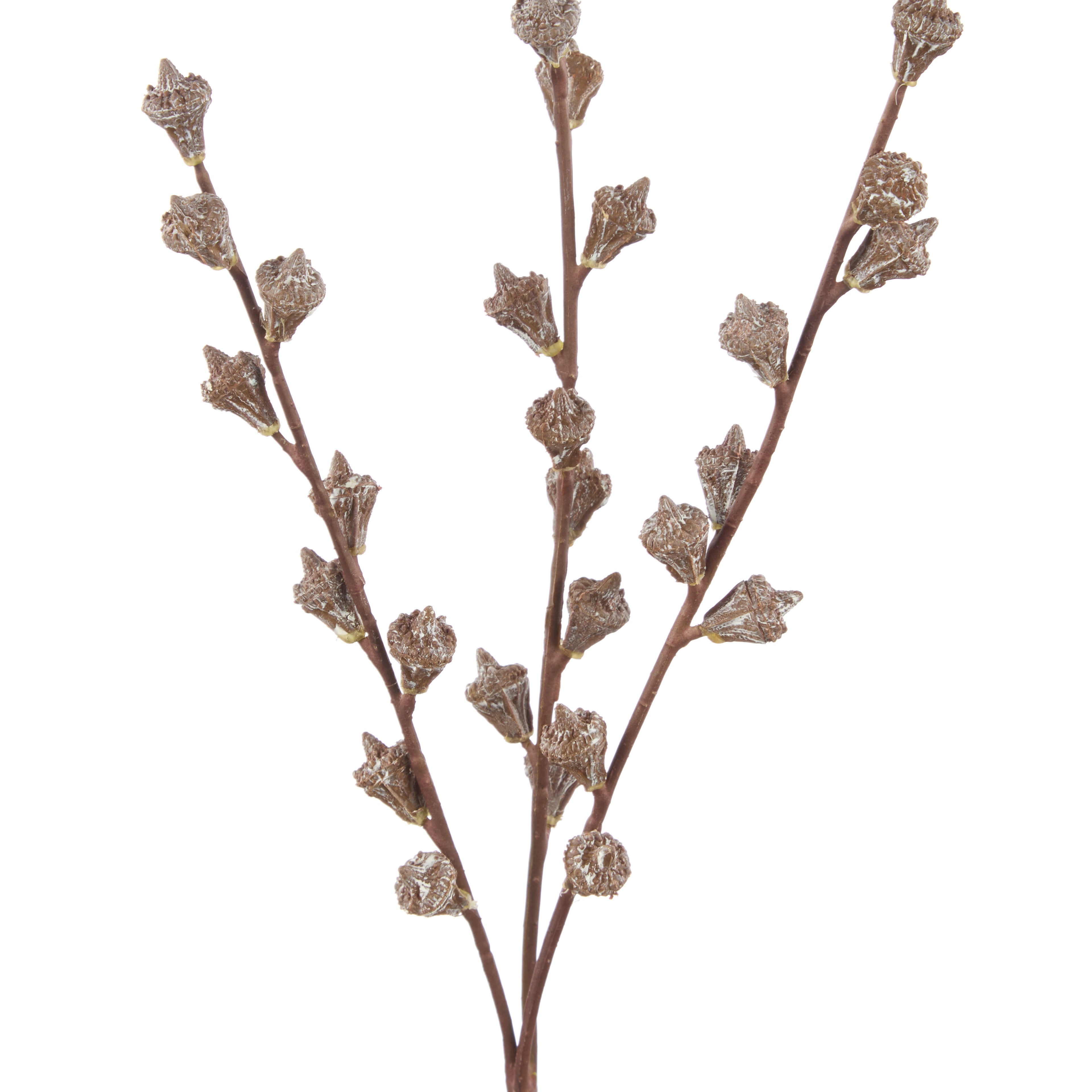 Faux Gumnut Spray | Brown - 62cm