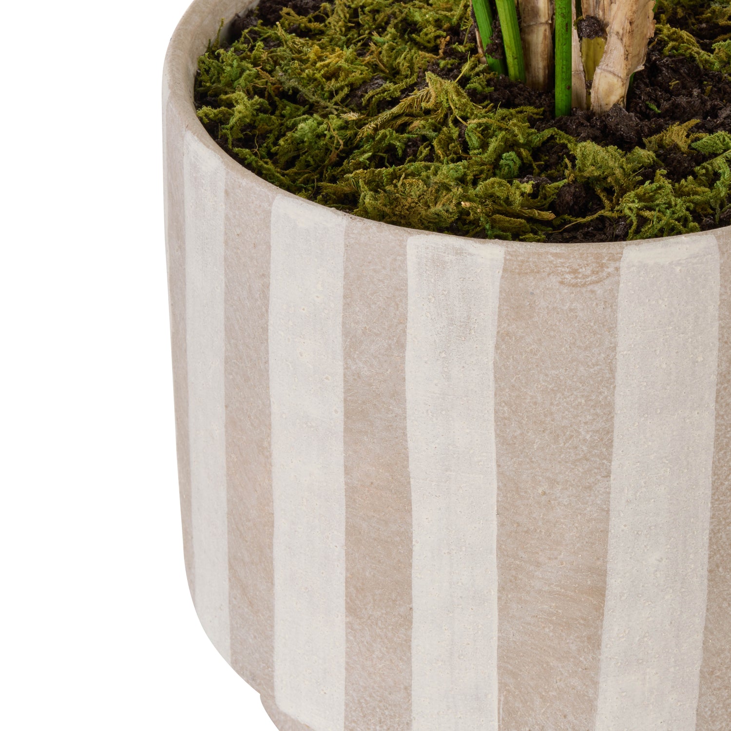 Faux Palm Tree  - Antibes Pot | Green -  84cm