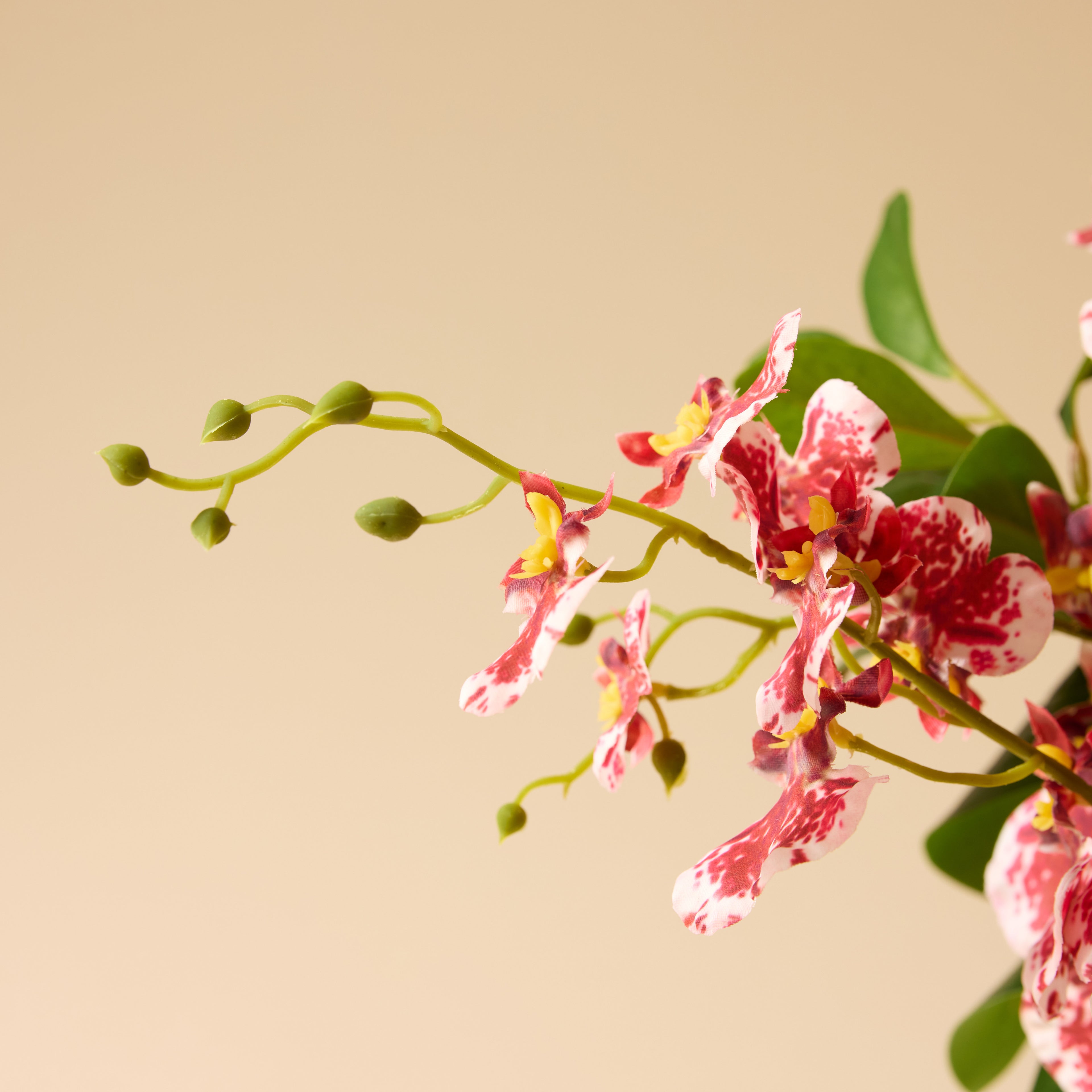 Faux Dancing Orchids - Madelyn Bowl | Burgundy - 58cm