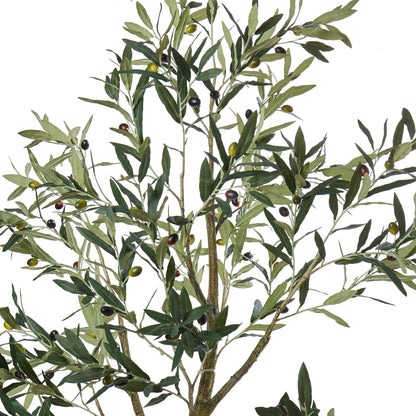 Rogue Olive Tree Green
