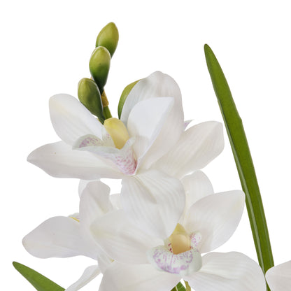Faux Cymbidium Orchid Pot | White -  52cm