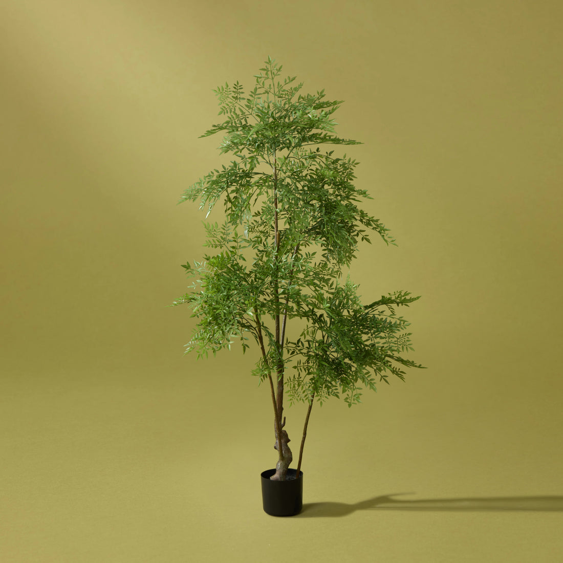 Faux Ficus Tree- Garden Pot | 150cm