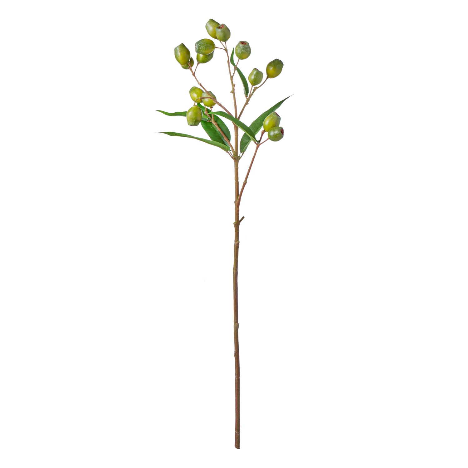 Faux Gum Nut Spray | 66cm