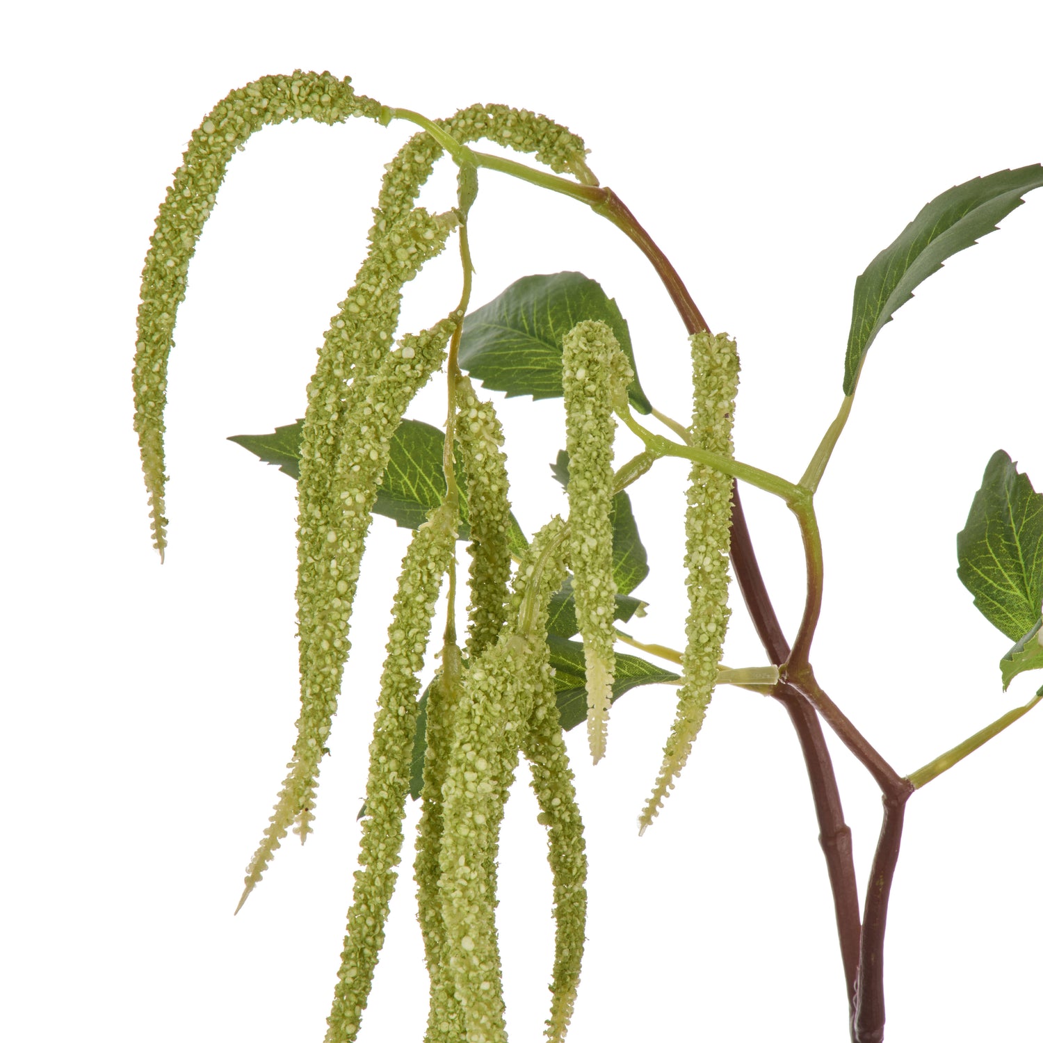 Faux Hanging Amaranthus Spray | Green  - 90cm