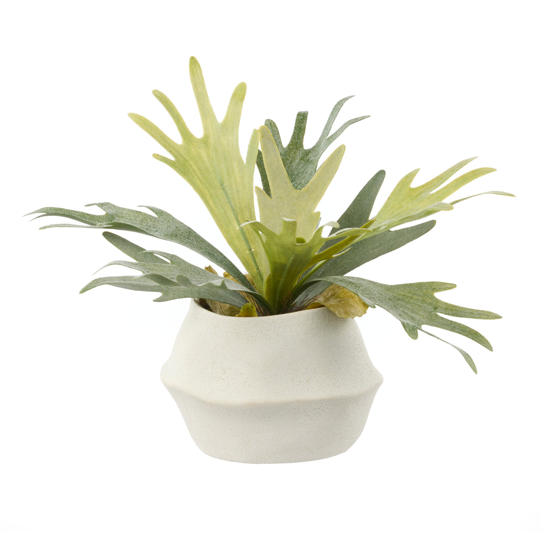Faux Staghorn Fern - Maliah Wide Pot | Cream - 27cm