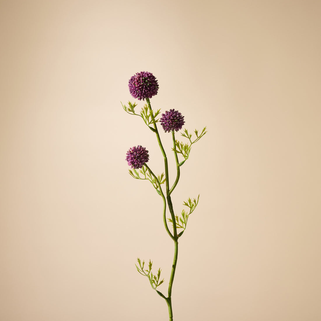 Faux Mini Allium Stem | Burgundy - 64cm