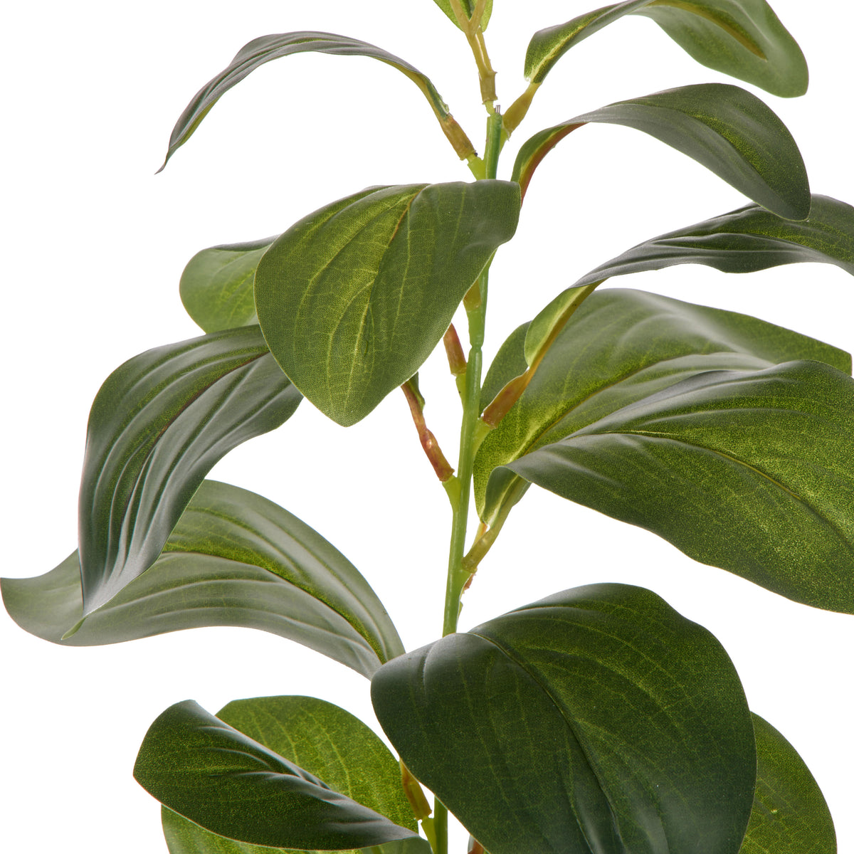 Rogue Lush Leaf Single Stem Green
