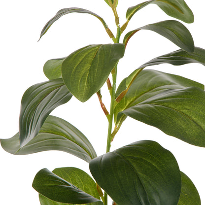Rogue Lush Leaf Single Stem Green