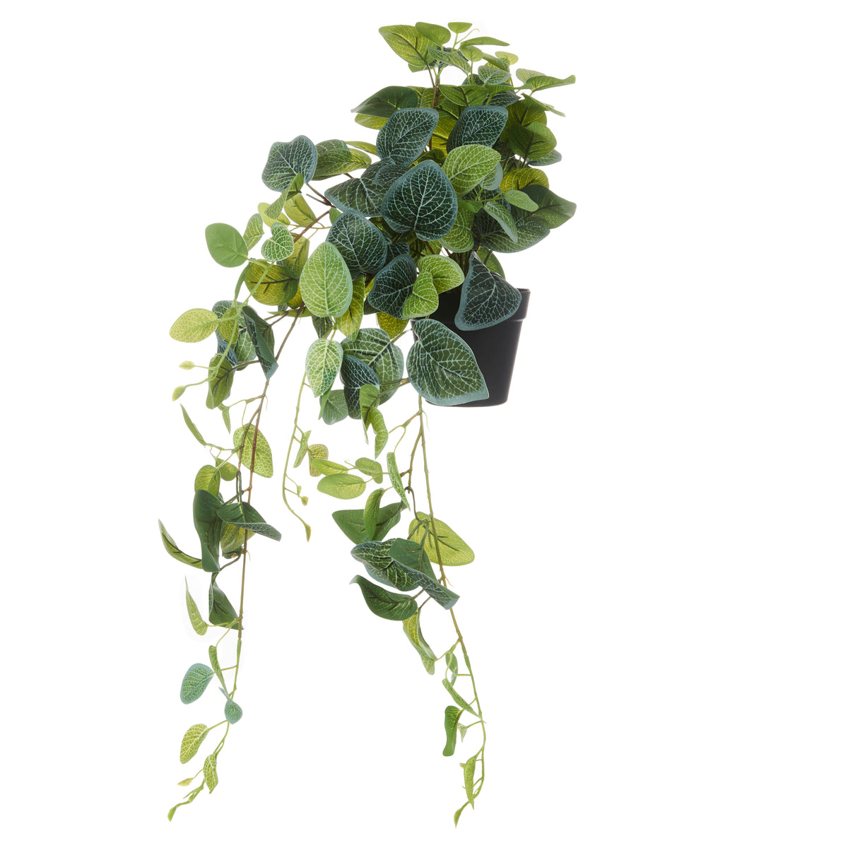 Faux Hanging Fittonia - Garden Pot | 82cm