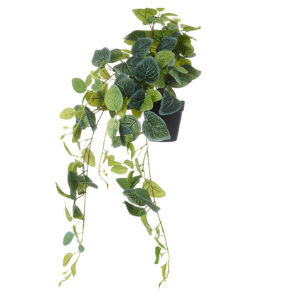 Faux Hanging Fittonia - Garden Pot | 82cm