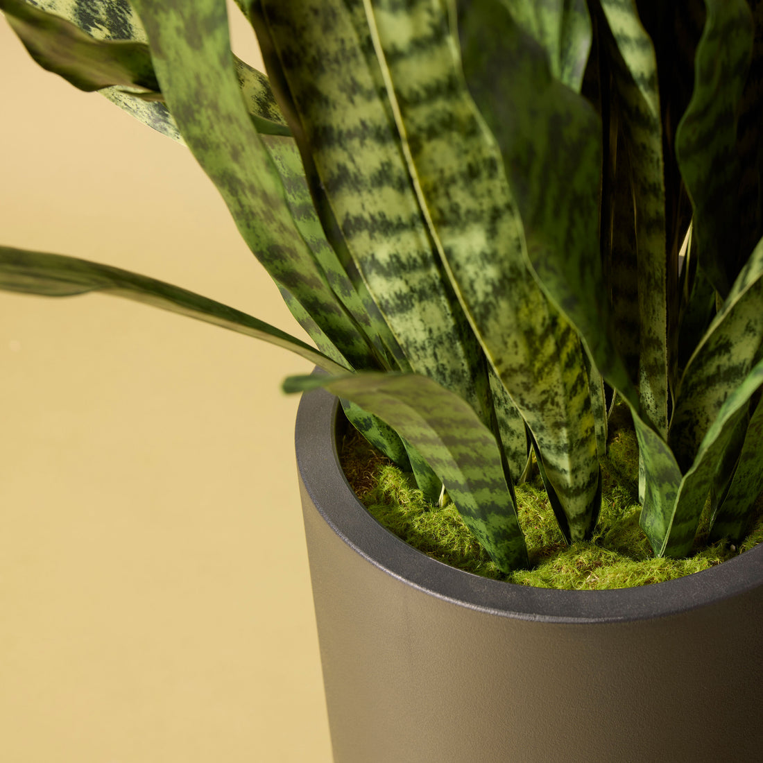 Faux Sanseveria - Standing Planter | 92cm