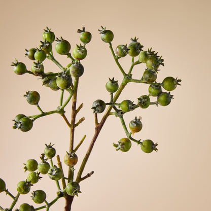 Faux Green Berries Spray | Green - 64cm