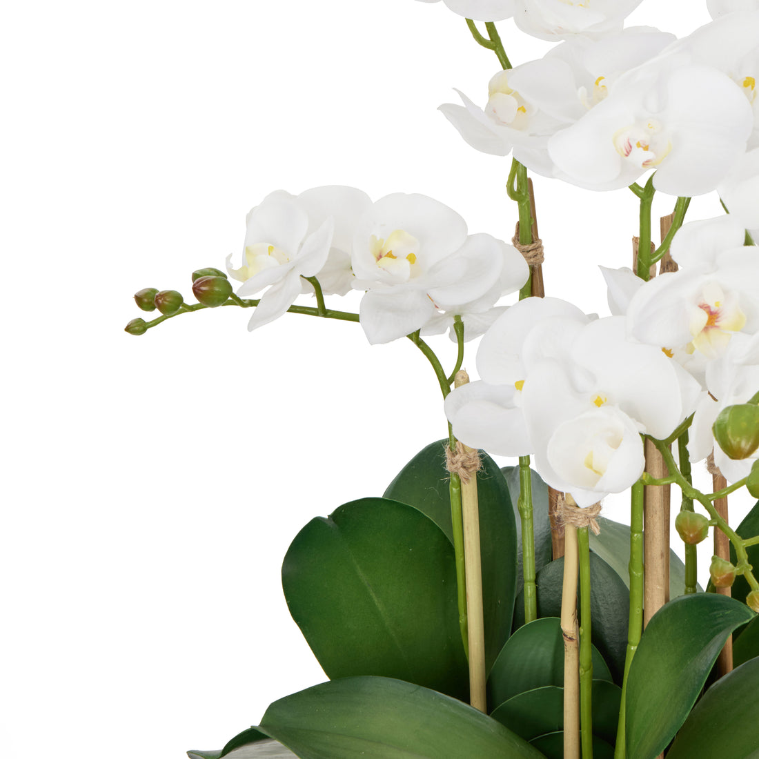 Faux Phalaenopsis Orchid Plant in Classic Bowl | White - 68cm