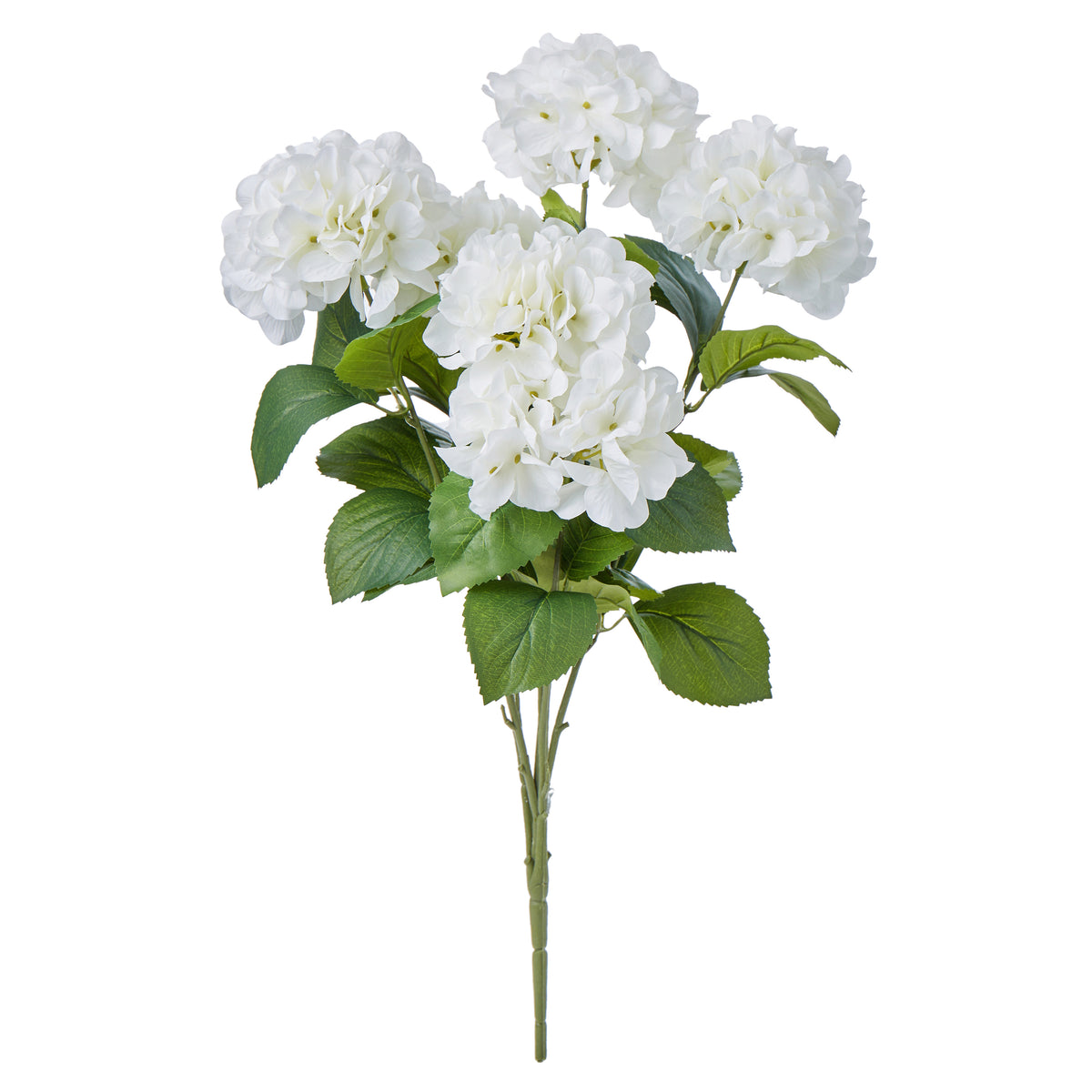 Rogue Hydrangea Bush Stem White