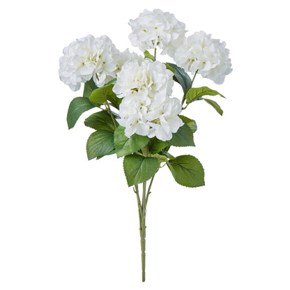 Rogue Hydrangea Bush Stem White