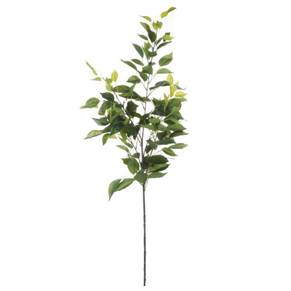 Rogue Ficus Leaf Spray Green