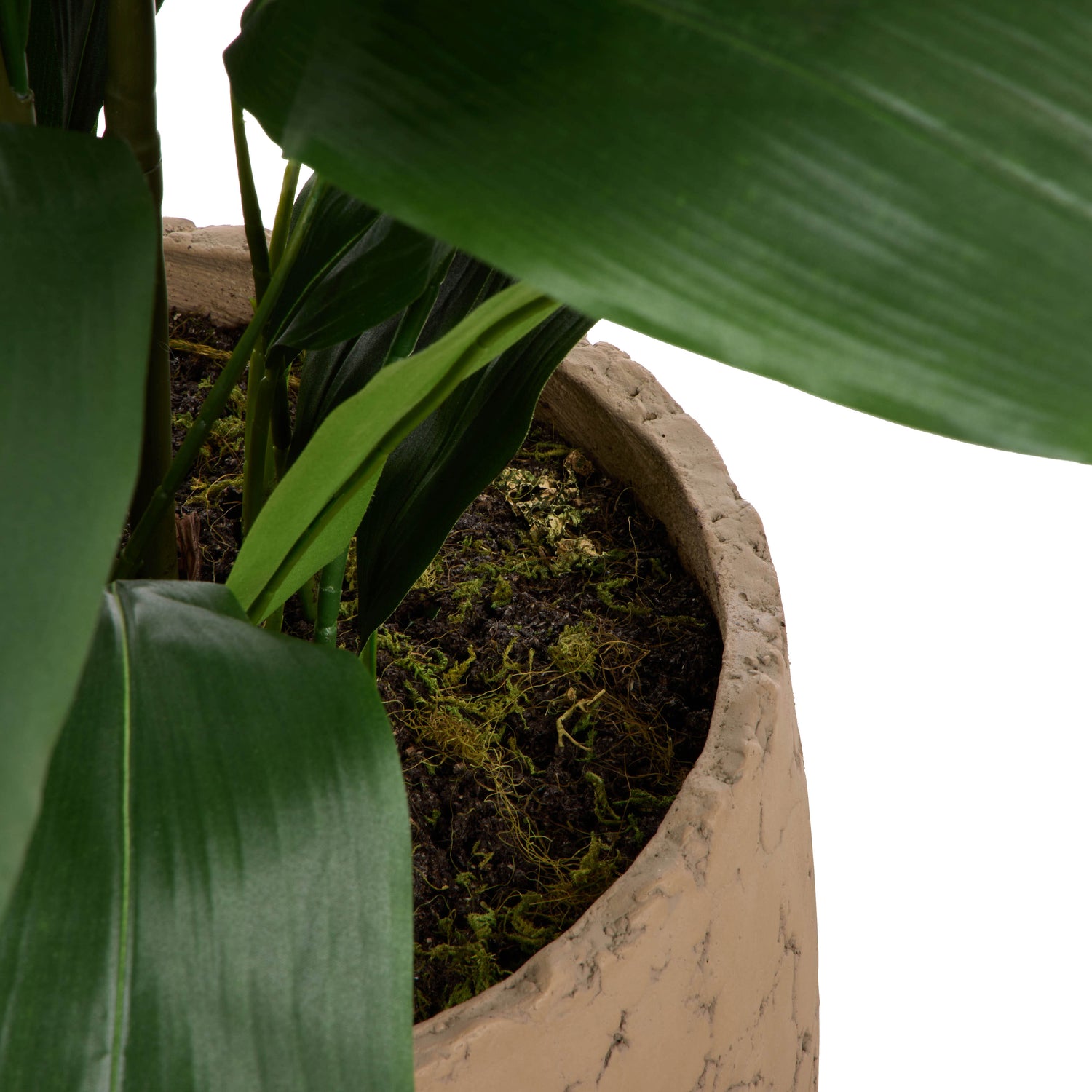 Faux Cast Iron Plant UV Treated  - Oliver Pot | Green - 116cm