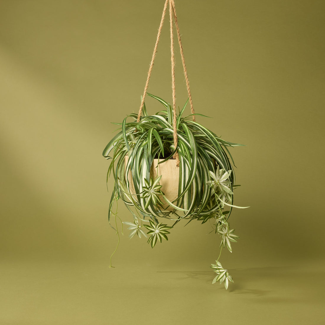 Faux Spider Plant - Dansk Hanging Bowl | 64cm