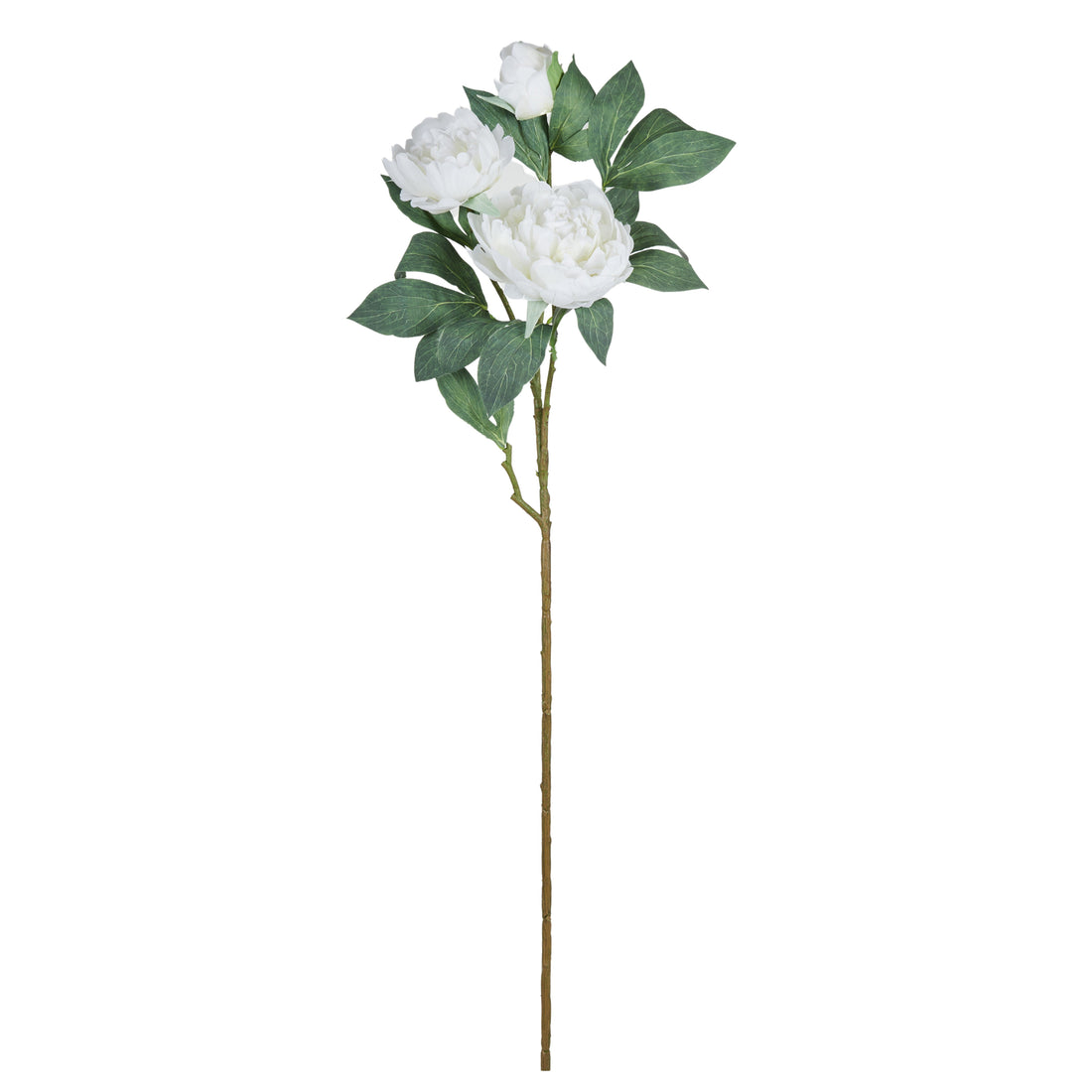 Rogue Peony Stem UV White