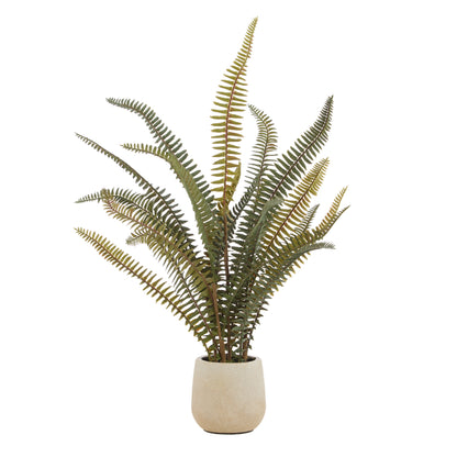 Faux Boston Fern - White Pot | 46cm