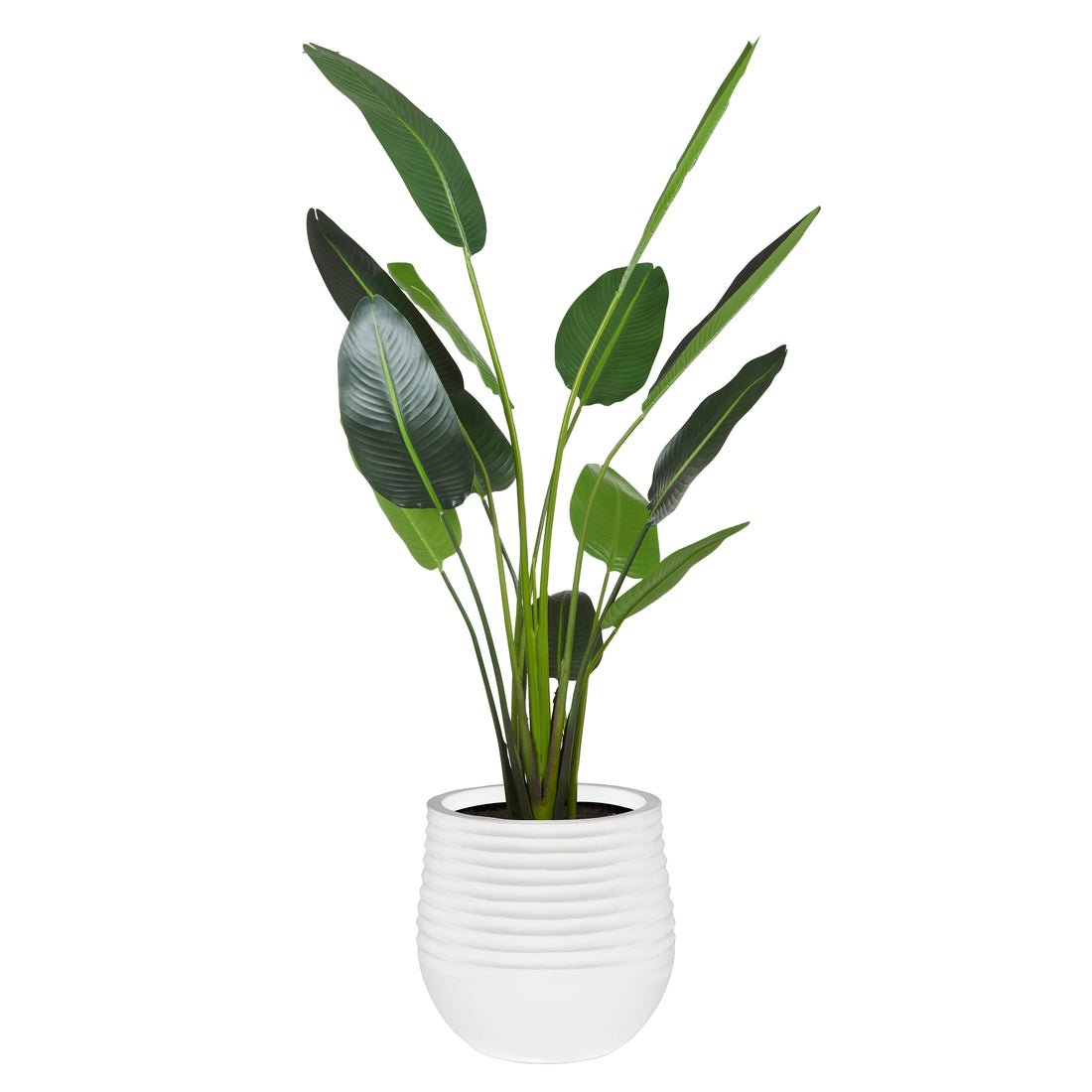 Faux Bird of Paradise - Ryker Planter | White - 208cm