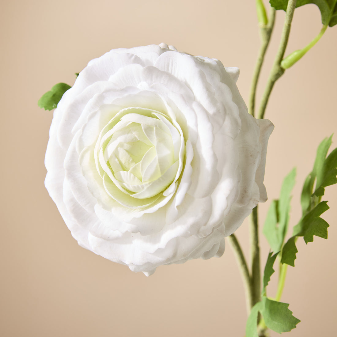 Faux Real Touch Ranunculus Spray | White - 60cm