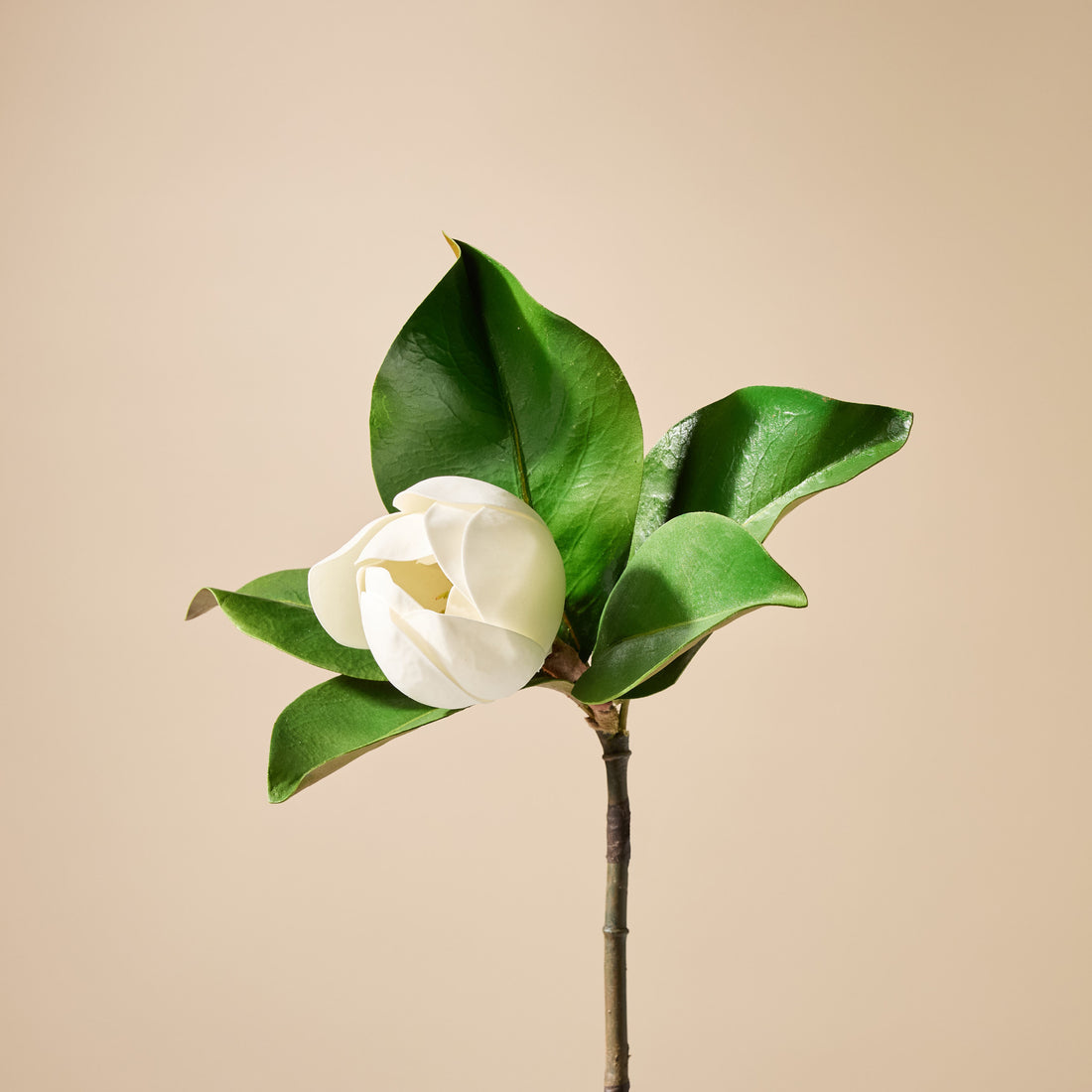 Faux Magnolia Stem | White - 35cm