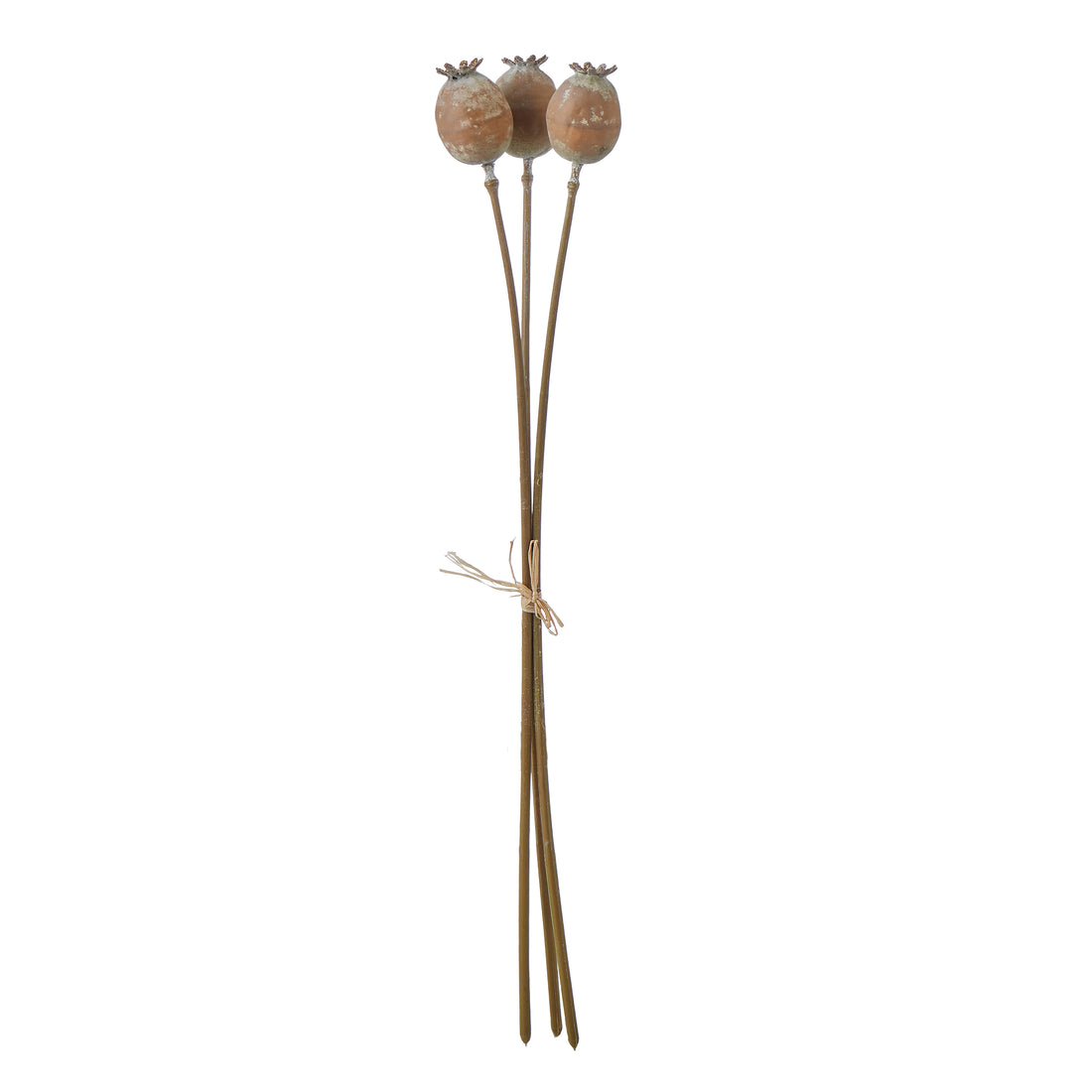 Faux Poppy Seed Bunch | Brown - 51cm