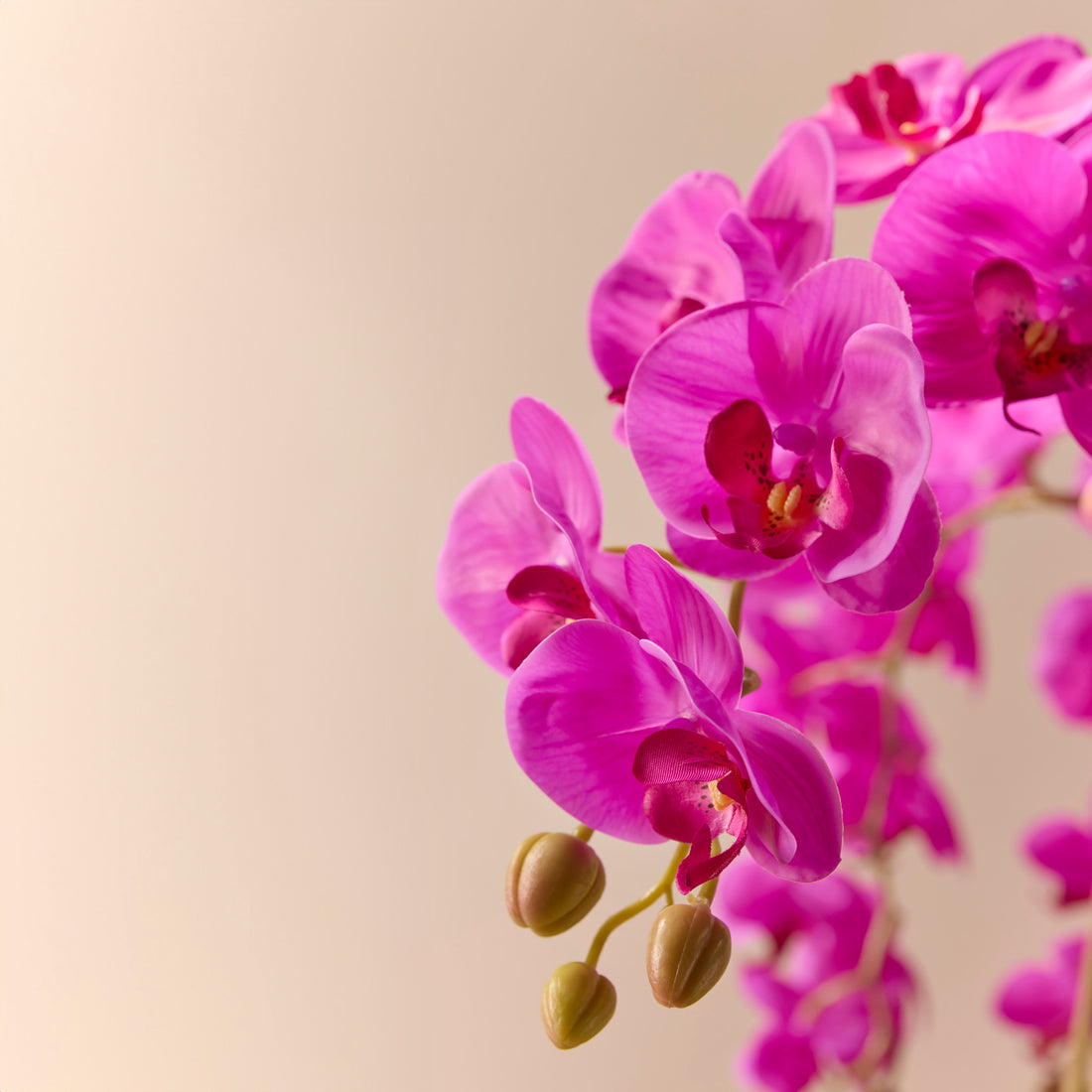 Faux Phalaenopsis Orchid - Gold Metal Bowl | Pink - 70cm