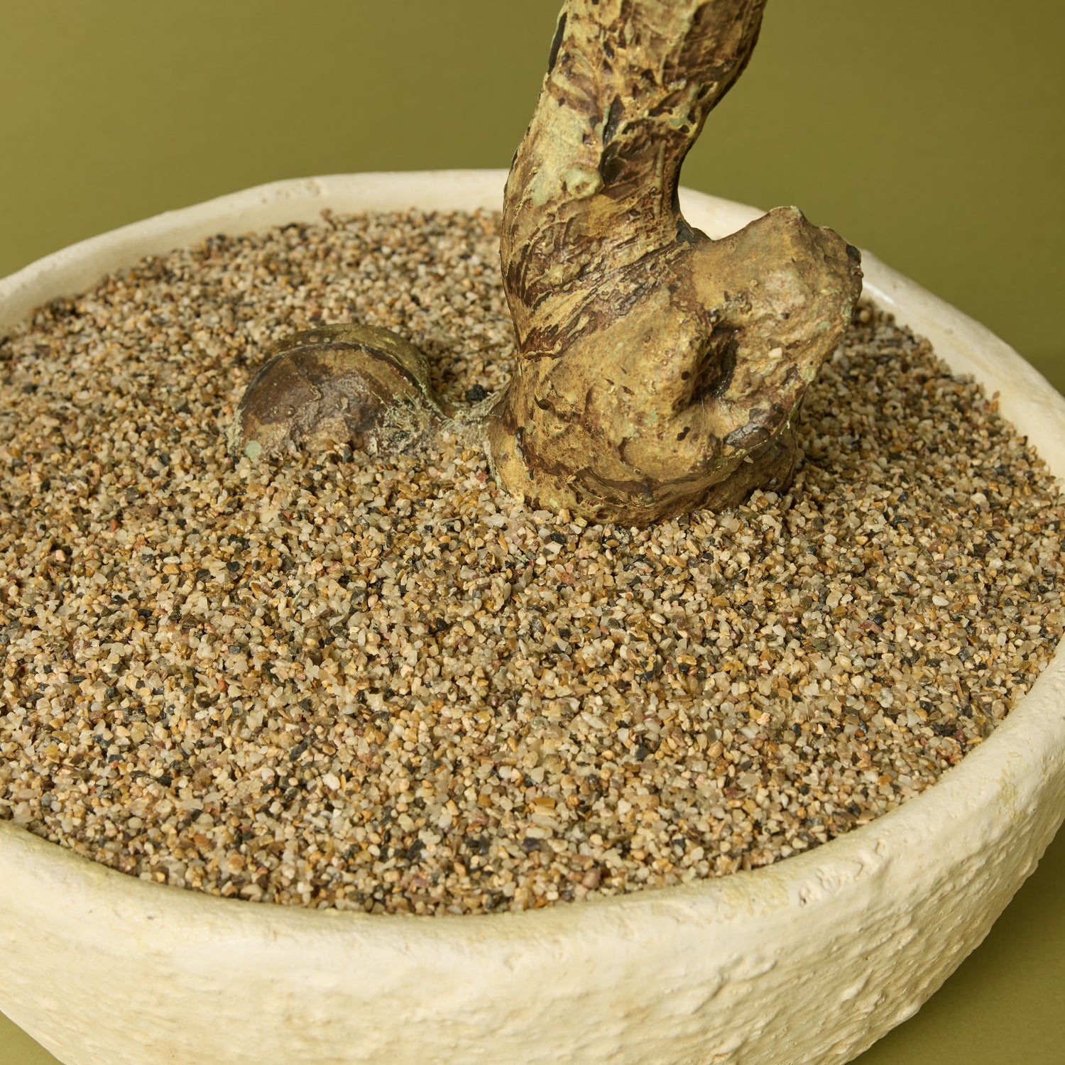 Faux Pine Bonsai - Textured Cement Pot | Cream - 96cm