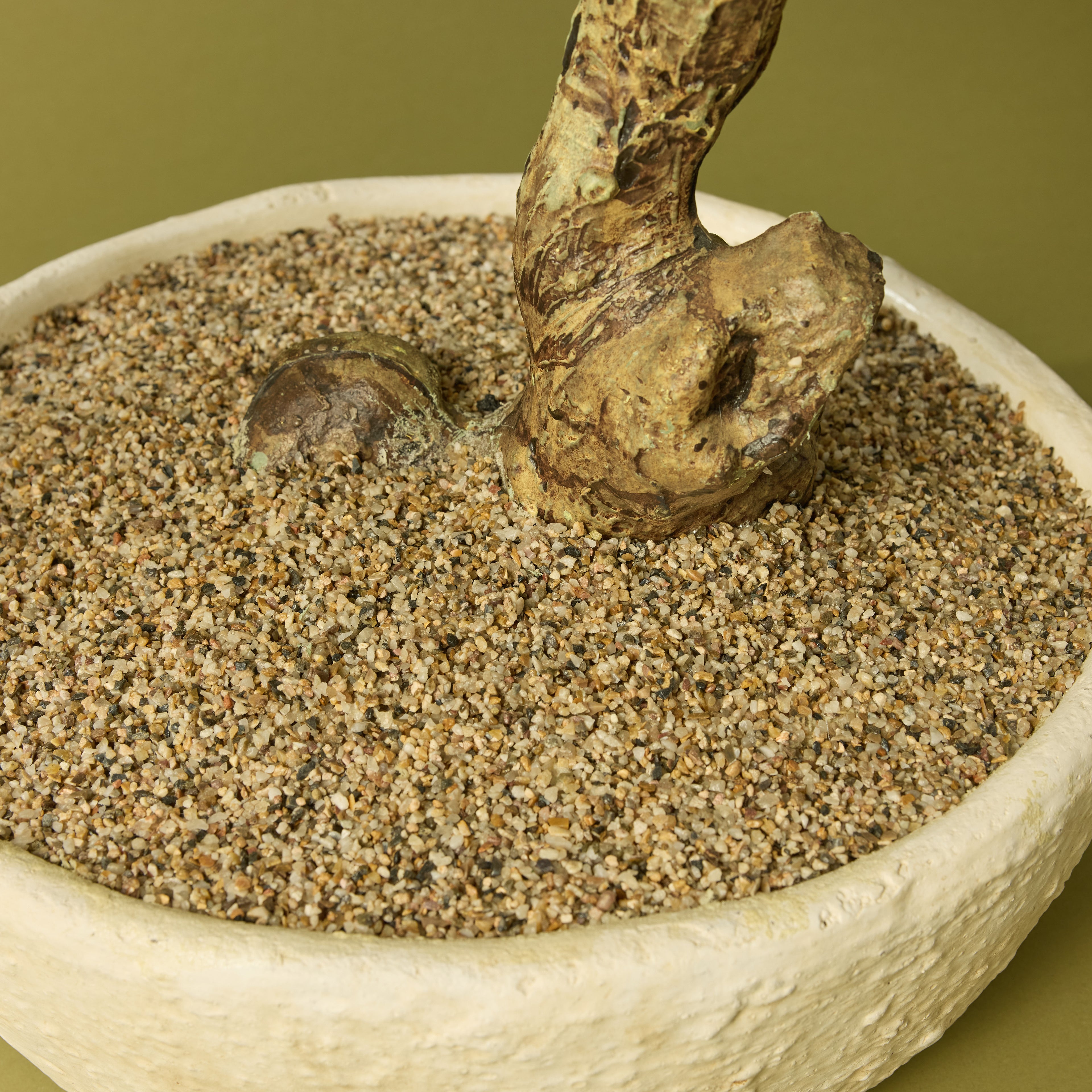 Faux Pine Bonsai - Textured Cement Pot | Cream - 96cm