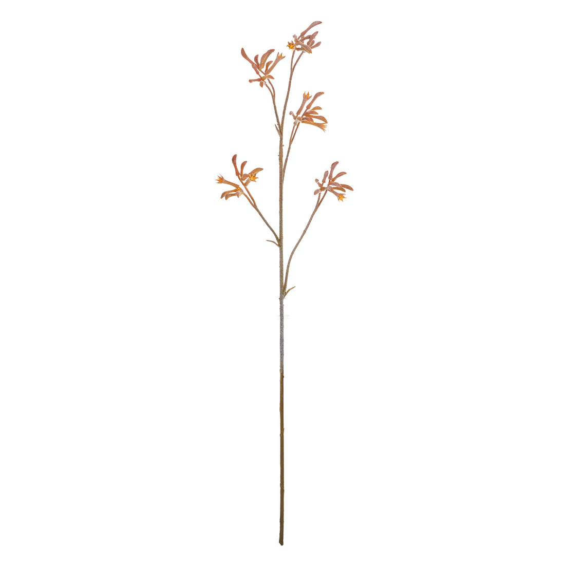 Faux Kangaroo Paw Spray | Yellow - 84cm