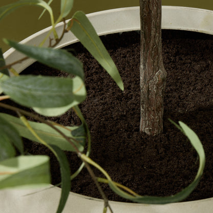 Faux Eucalyptus Tree - Vienna Planter Set of 3 | White