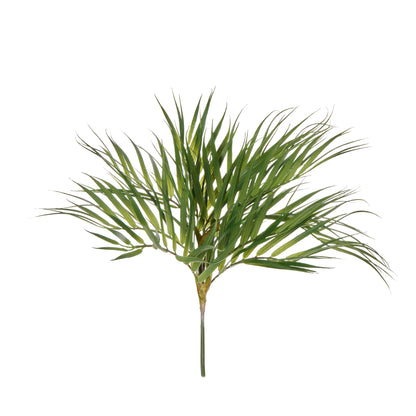 Rogue Phoenix Palm Green