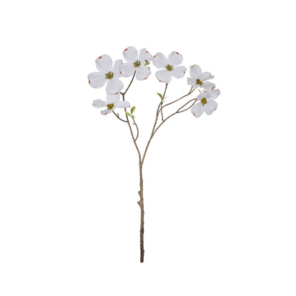 Rogue Dogwood Spray White