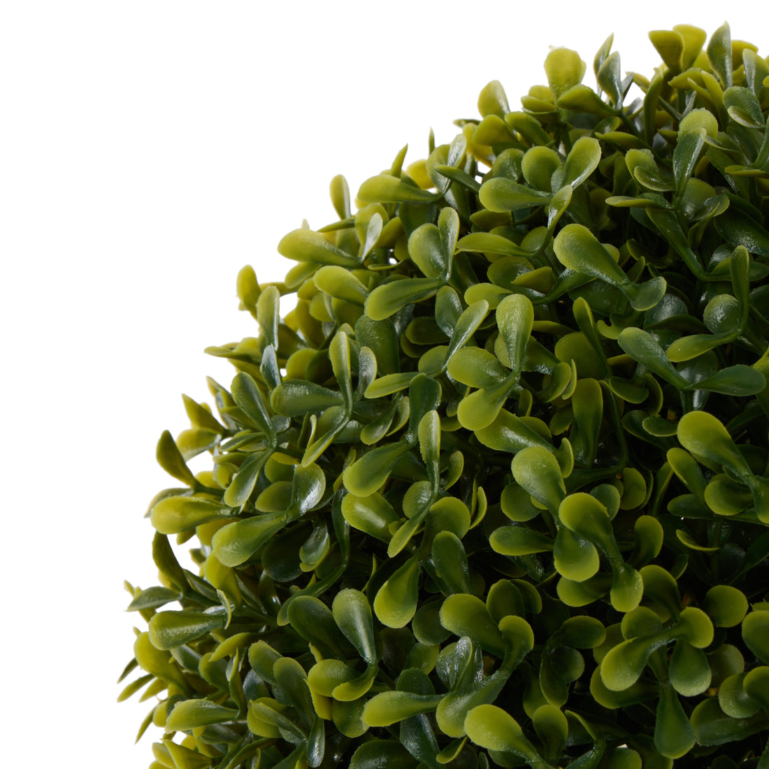 Rogue Boxwood Topiary Ball UV Green