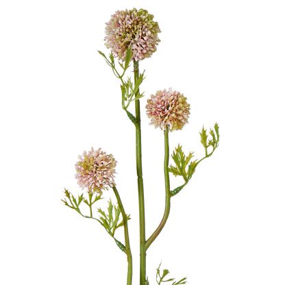 Faux Mini Allium Stem | Pink - 64cm