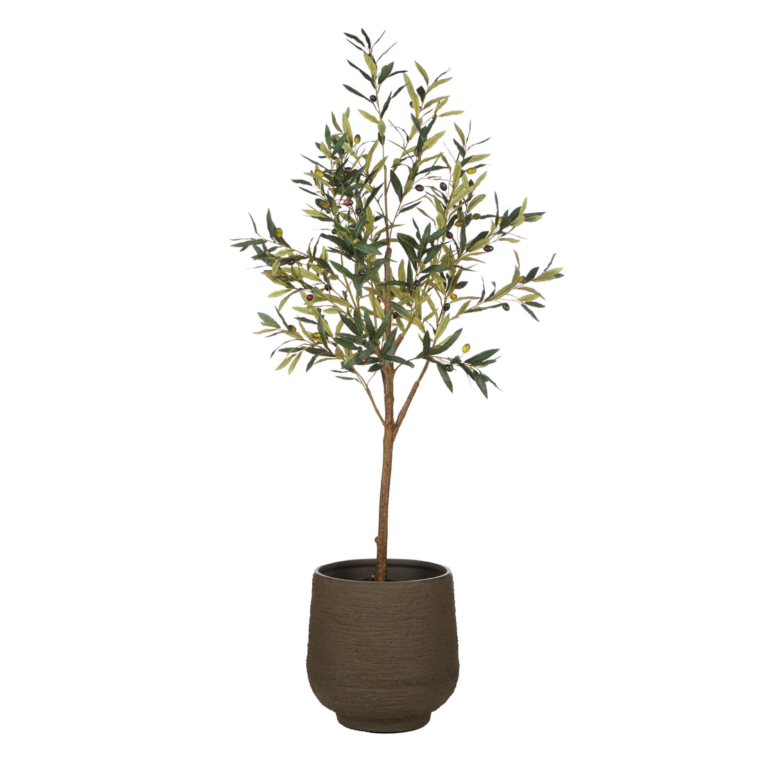 Rogue Olive Tree - Trillium Planter Green